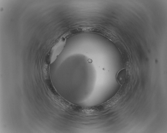 X0000075870650200610062004