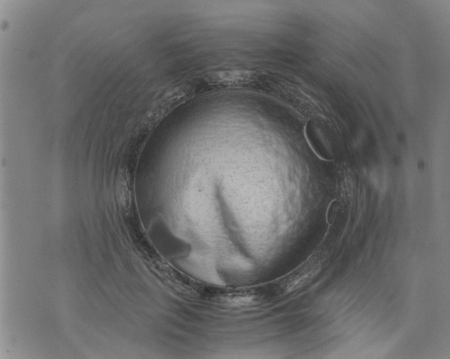 X0000075870651200610062004