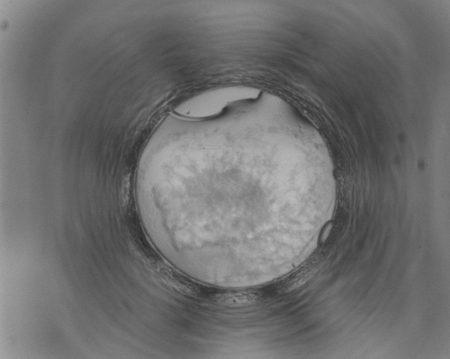 X0000075870652200610062004