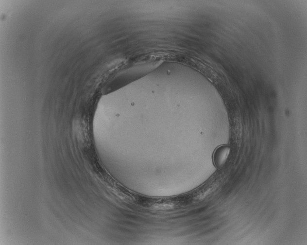 X0000075870653200610062004