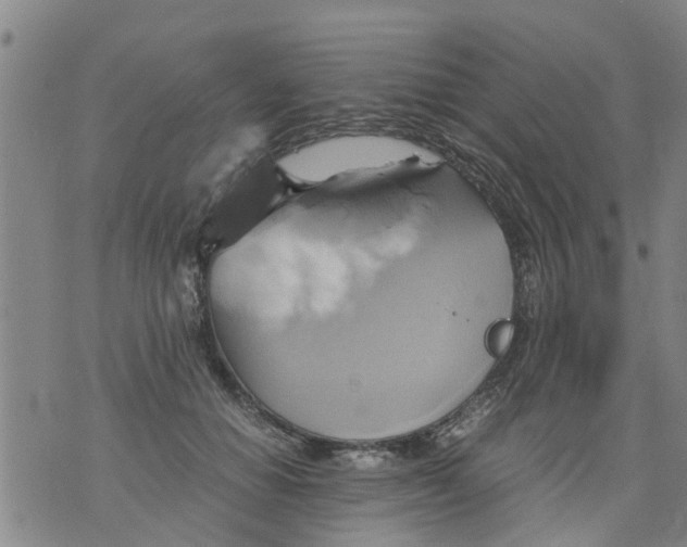 X0000075870654200610062004