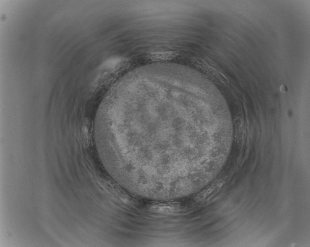 X0000075870655200610062004