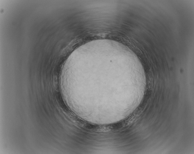 X0000075870656200610062004