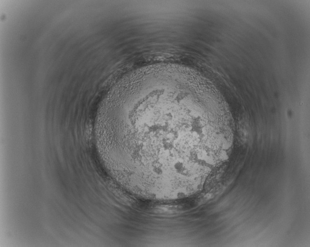 X0000075870657200610062004