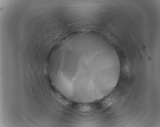 X0000075870658200610062004