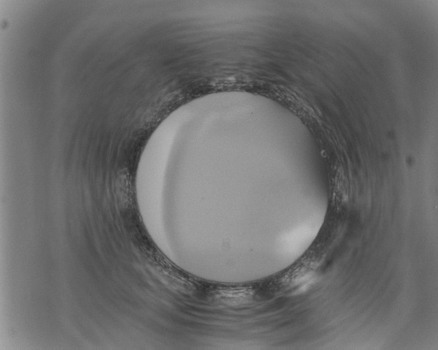 X0000075870659200610062004