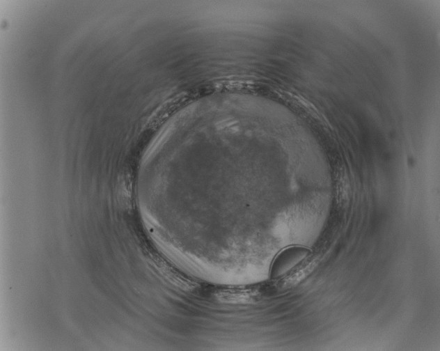 X0000075870661200610062004