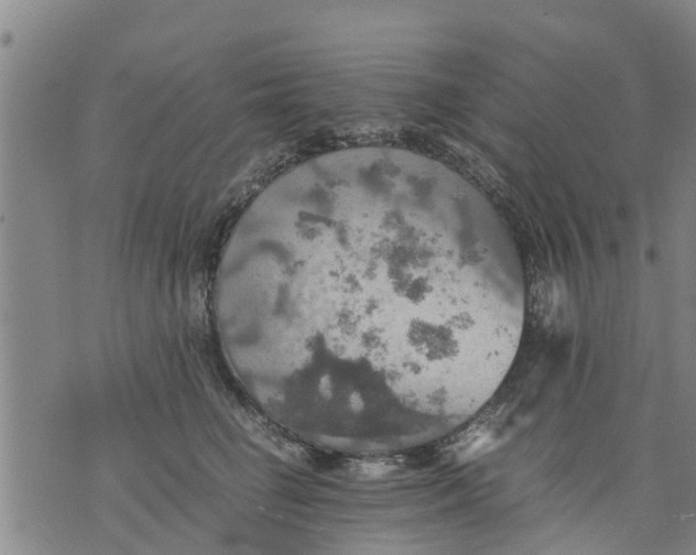 X0000075870662200610062004