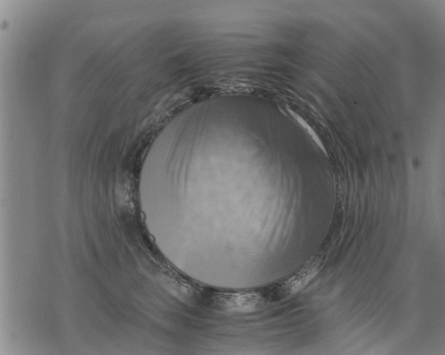 X0000075870663200610062004