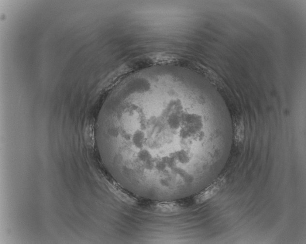 X0000075870666200610062004