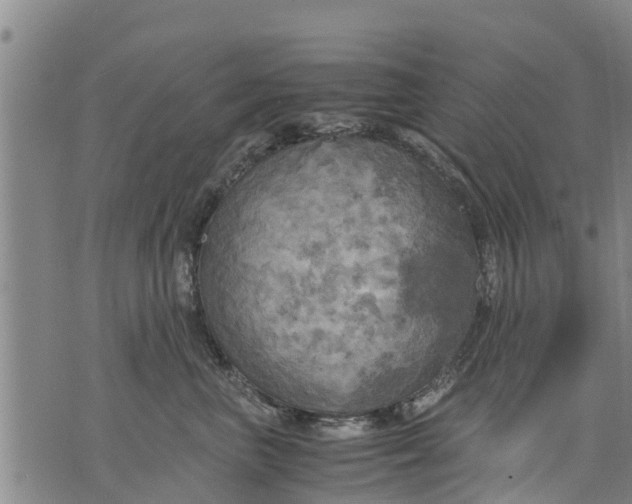 X0000075870667200610062004