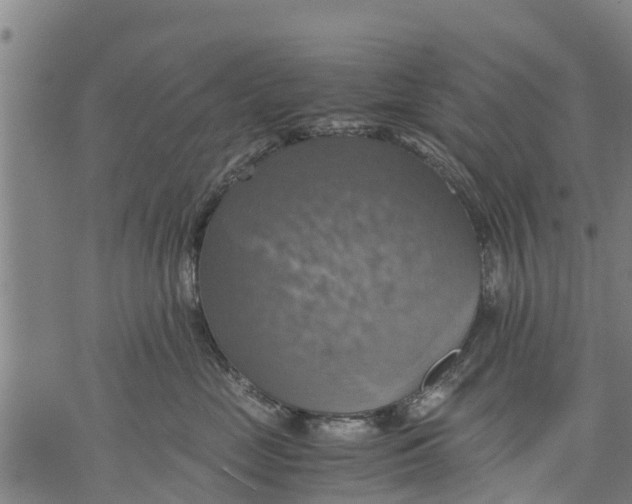 X0000075870669200610062004