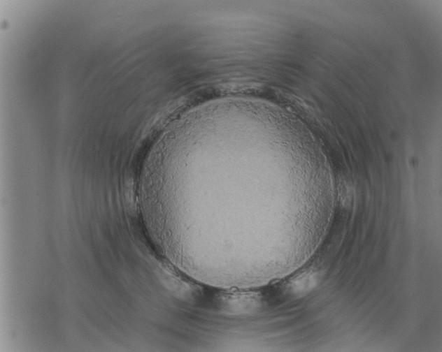 X0000075870670200610062004