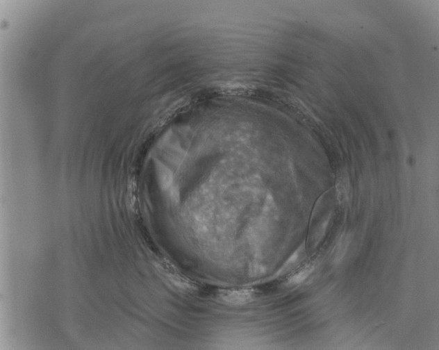 X0000075870671200610062004