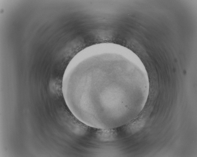 X0000075870672200610062004