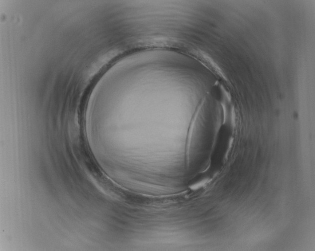 X0000075870674200610062003