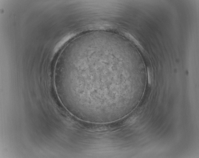 X0000075870675200610062003