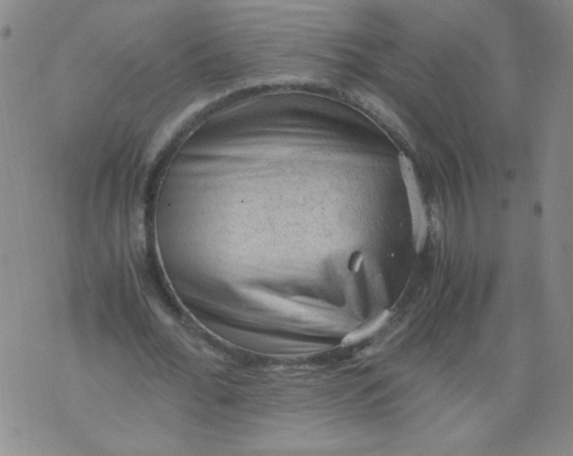 X0000075870676200610062003