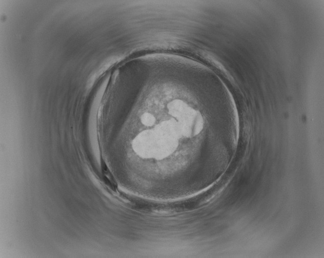 X0000075870677200610062003