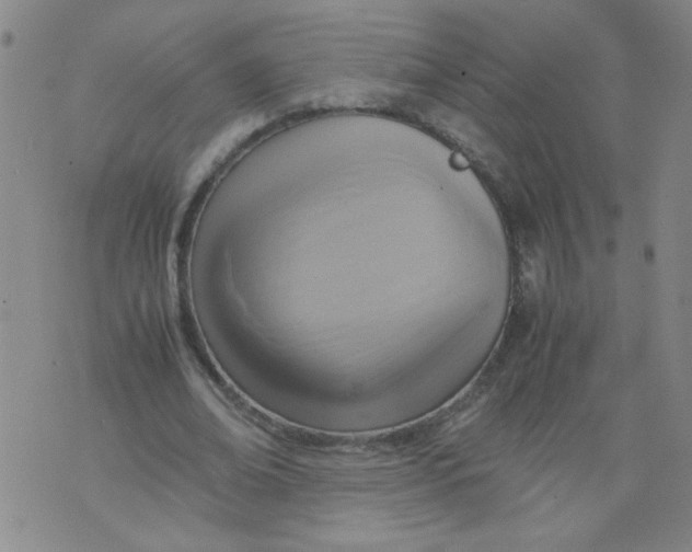 X0000075870678200610062003