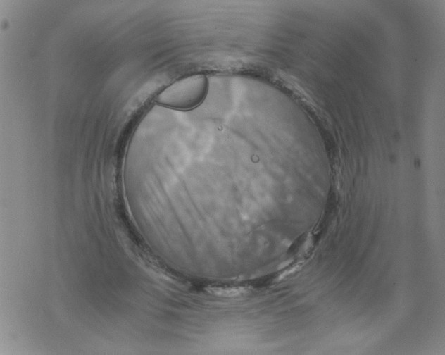 X0000075870679200610062003