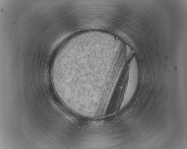 X0000075870680200610062003