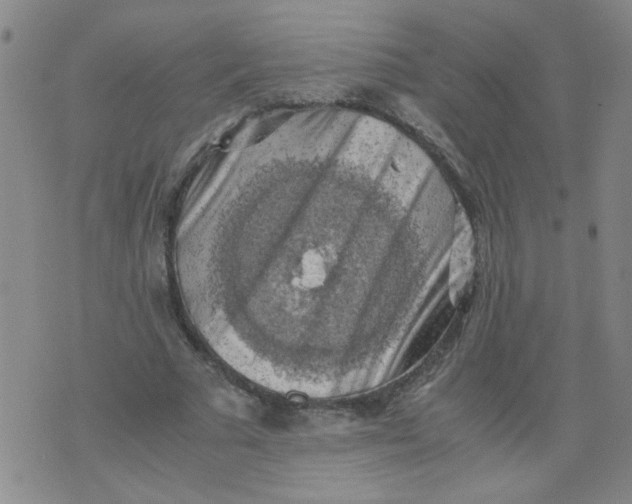 X0000075870681200610062003