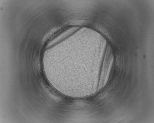 X0000075870682200610062003