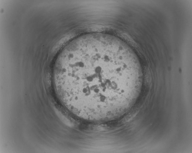 X0000075870683200610062003