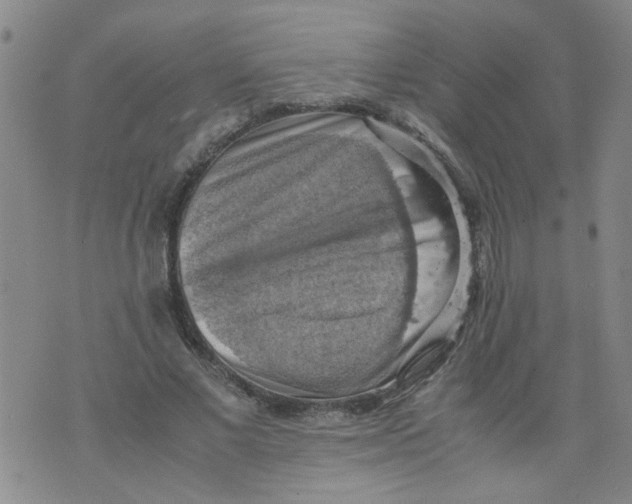 X0000075870685200610062003