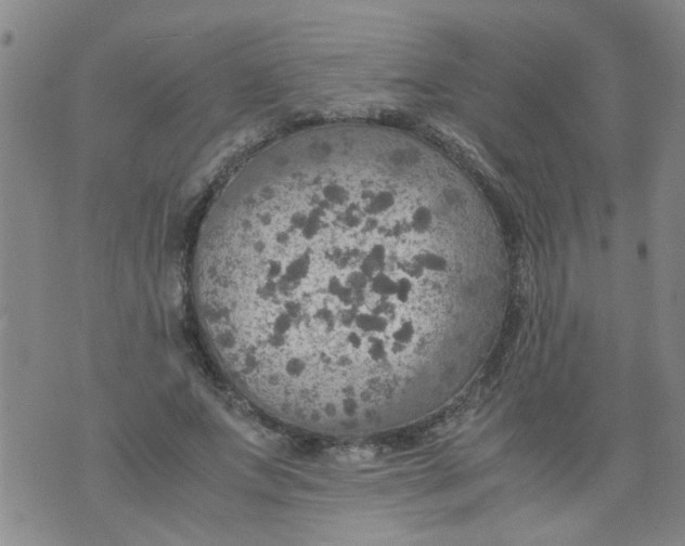 X0000075870687200610062003