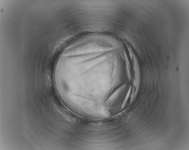 X0000075870688200610062003