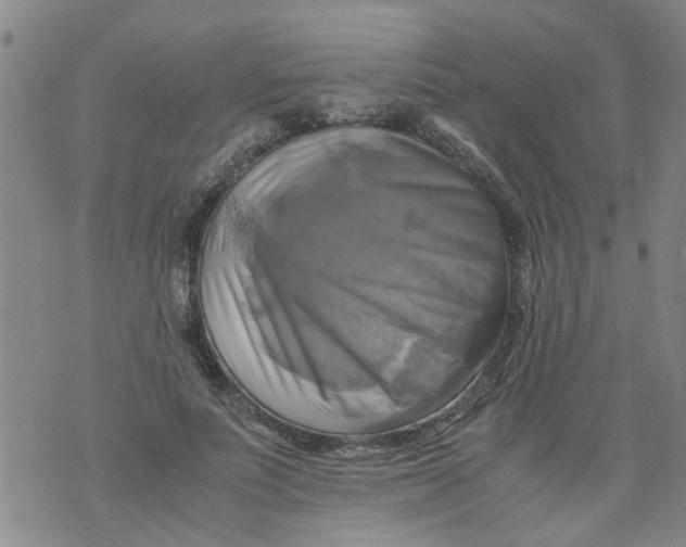 X0000075870691200610062003