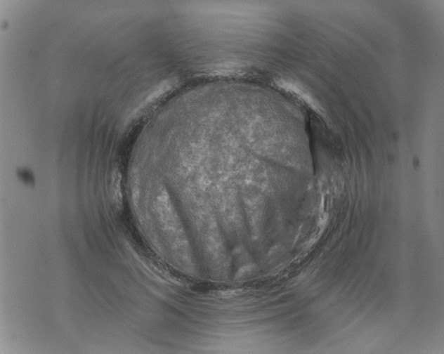 X0000075870692200610062003