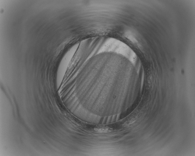 X0000075870693200610062003