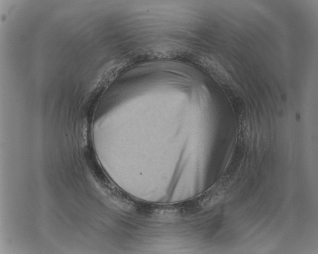 X0000075870694200610062003