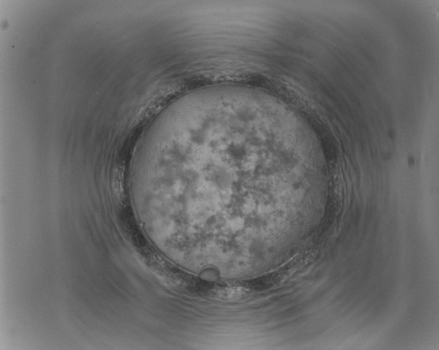 X0000075870695200610062003