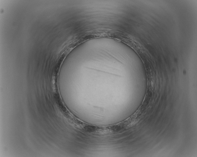 X0000075870696200610062003