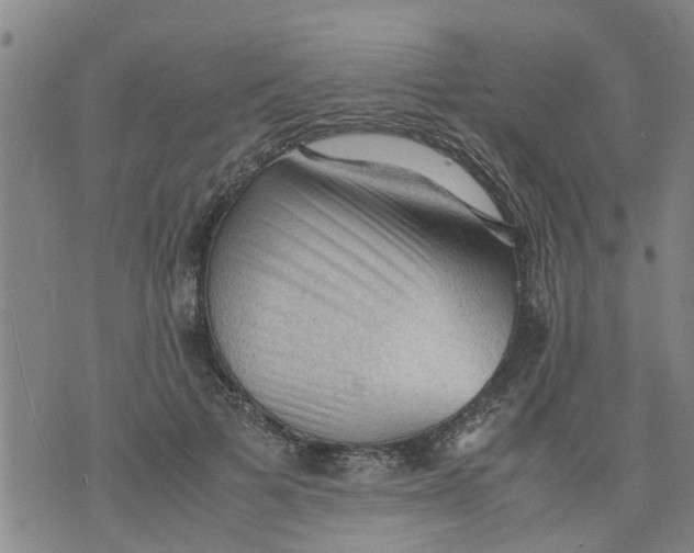 X0000075870697200610062003