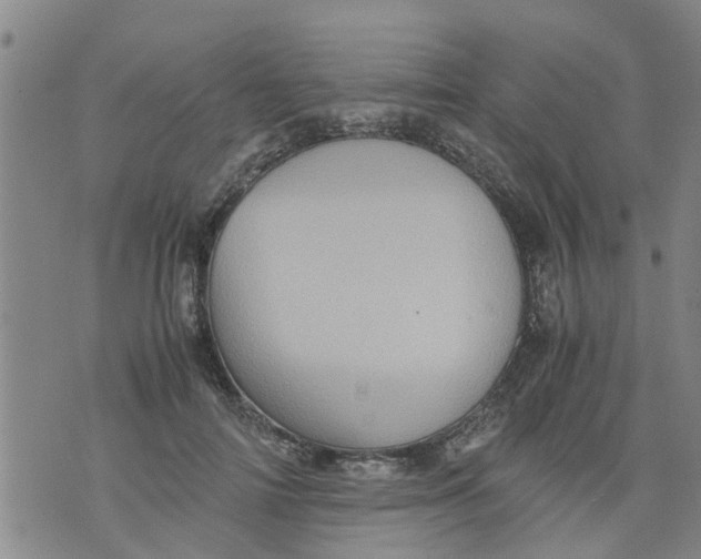 X0000075870698200610062003