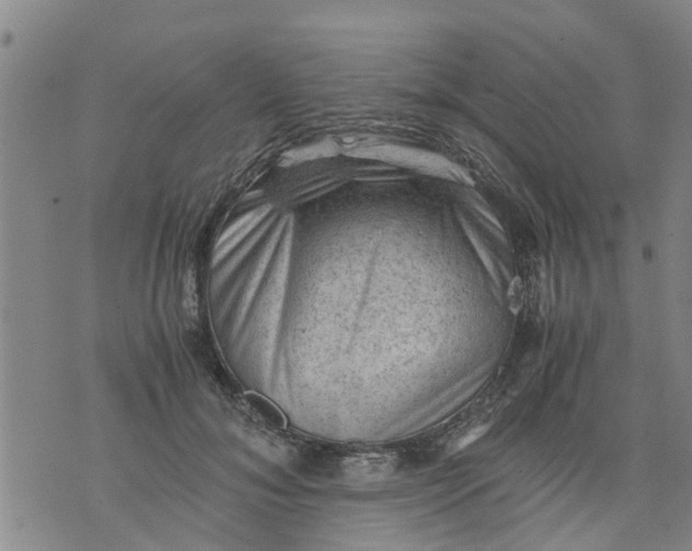 X0000075870700200610062003