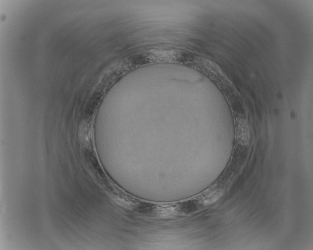 X0000075870701200610062003