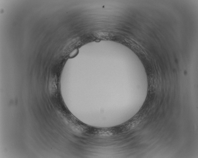 X0000075870702200610062003