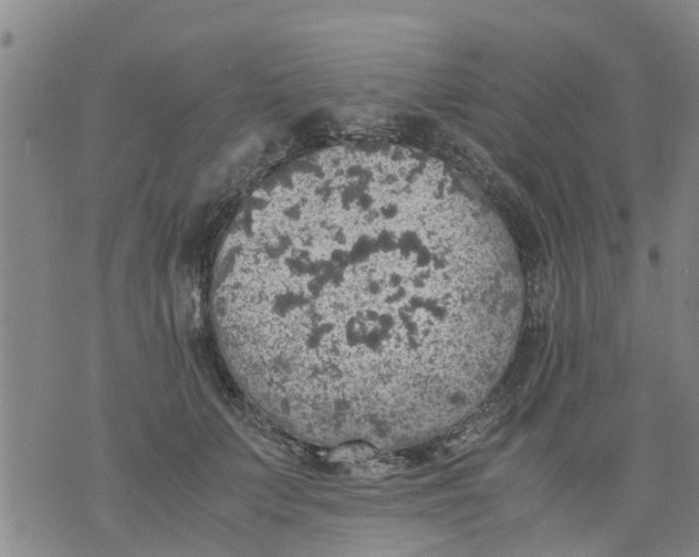 X0000075870703200610062003