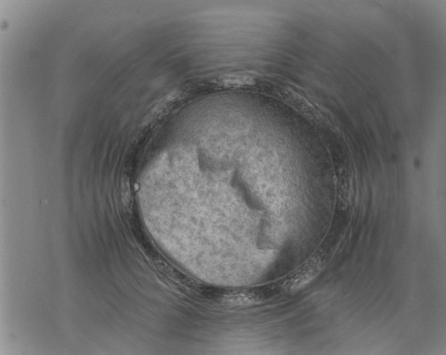 X0000075870704200610062003