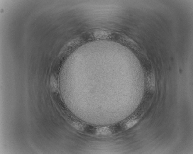 X0000075870705200610062003