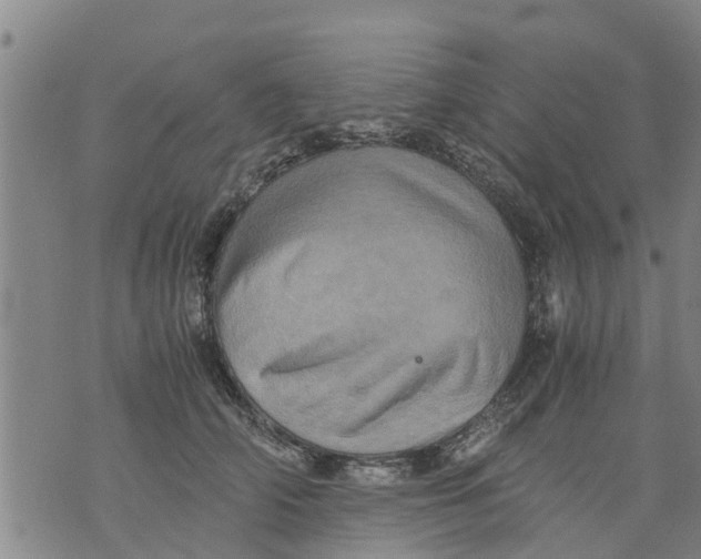 X0000075870706200610062003