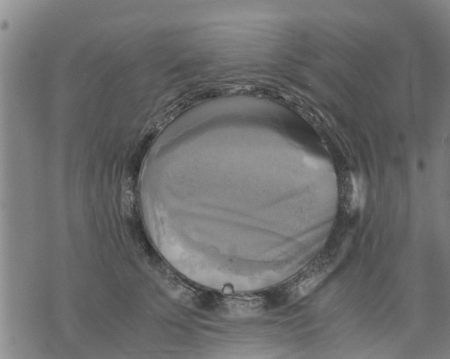 X0000075870707200610062003