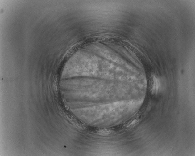 X0000075870708200610062003