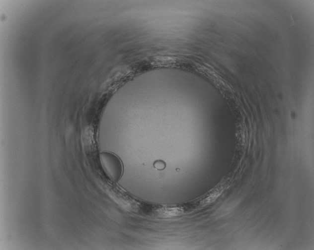 X0000075870711200610062003